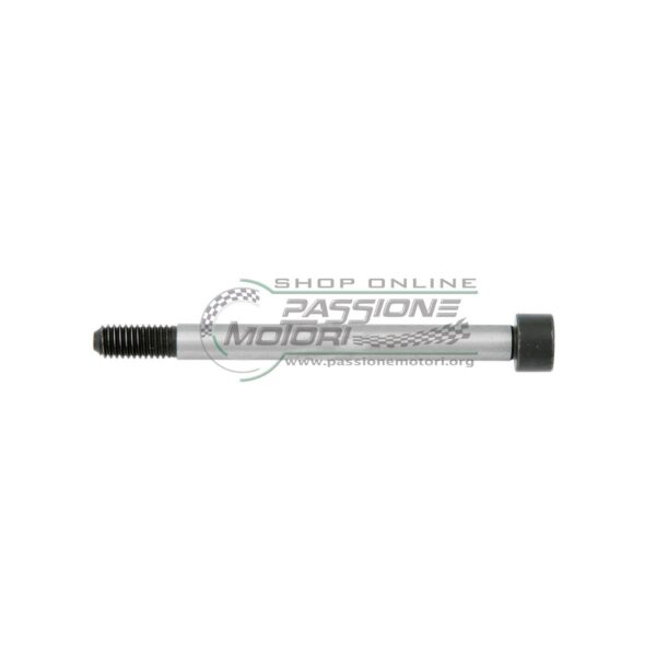Vite M10x105 testa piatta per fusello