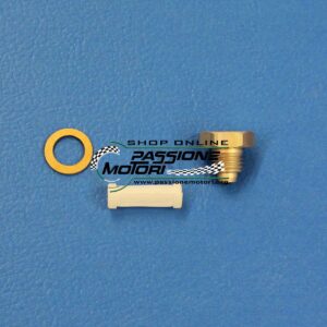 KIT FILTRO BENZINA 53089 DELL'ORTO VHSH VHSB