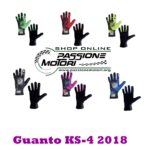 Guanto Ks-4 2018